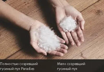 ОДЕЯЛО PARADIES 1133470