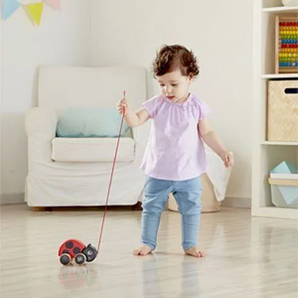 игрушка HAPE 6943478025073