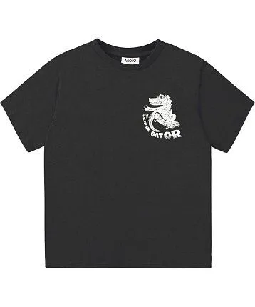 футболка для мальчика MOLO 1421534