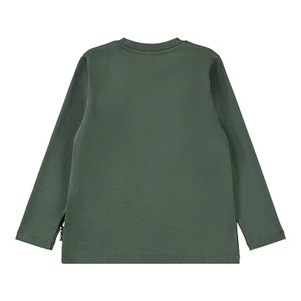 футболка для мальчика MOLO 1451982