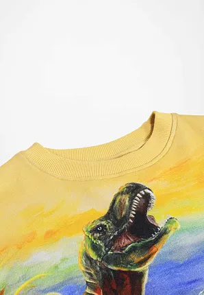 джемпер для мальчика MOLO 1466819