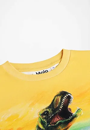 футболка для мальчика MOLO 1466814