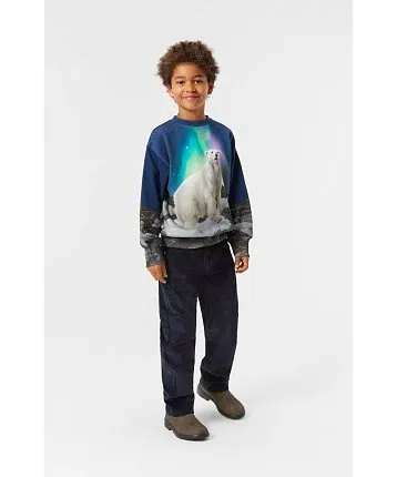 джемпер для мальчика MOLO 1429337