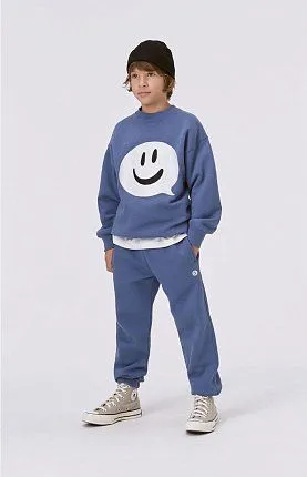 брюки для мальчика MOLO 1395088