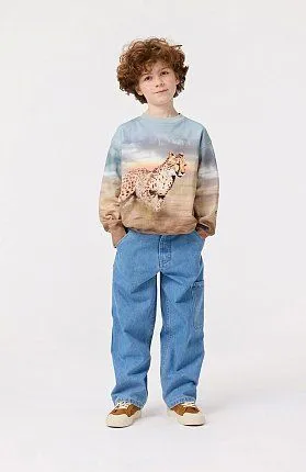 джемпер для мальчика MOLO 1435726