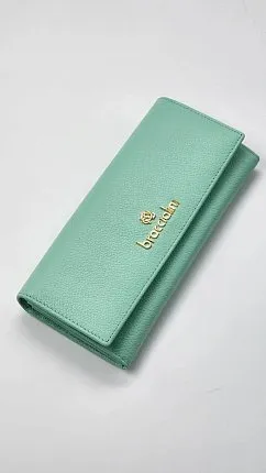 кошелек BRACCIALINI 1392874