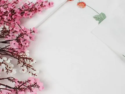 наволочка ASABELLA 1442300