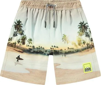 Шорты для плавания для мальчика MOLO 1434686