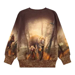 джемпер для мальчика MOLO 1451977