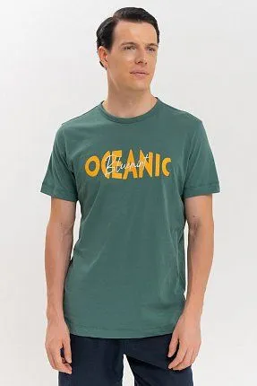 футболка мужская BLUEMINT 8691600258889