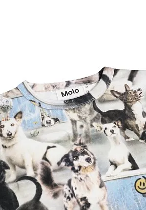 джемпер для мальчика MOLO 1475970