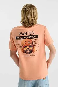 футболка для мальчика LTS 1465305