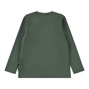 футболка для мальчика MOLO 1451982