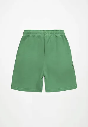 шорты для мальчика MOLO 1466852