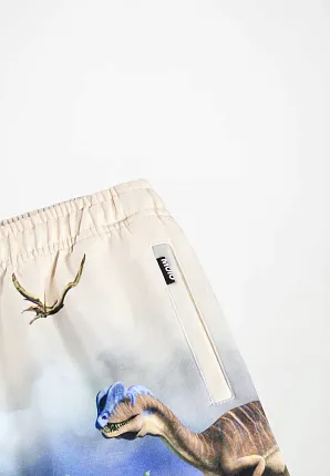 шорты для мальчика MOLO 1466830