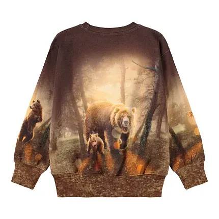 джемпер для мальчика MOLO 1451977