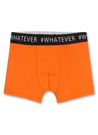 трусы детские SANETTA 1399127