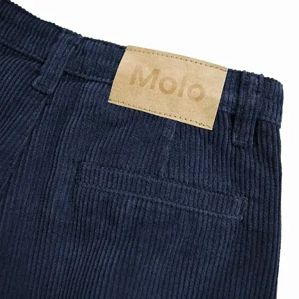 брюки для девочки MOLO 1452016