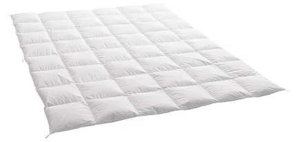 ОДЕЯЛО DAUNY 1128145