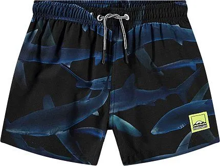 шорты купальные для мальчика MOLO 1434698