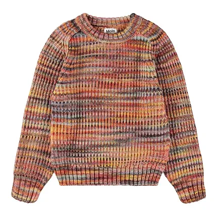 джемпер для мальчика MOLO 1451961