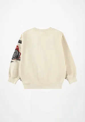 джемпер для мальчика MOLO 1466807