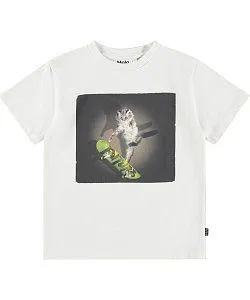 футболка для мальчика MOLO 1449323