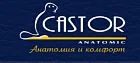 CASTOR