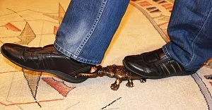 жук-скарабей АРТ-СТУДИЯ КЛАССИК 1425749