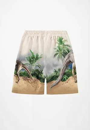 шорты для мальчика MOLO 1466830