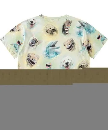 футболка для мальчика MOLO 1445274