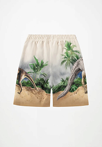 шорты для мальчика MOLO 1466830