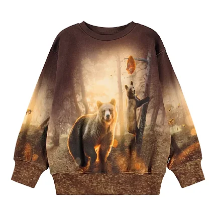 джемпер для мальчика MOLO 1451977