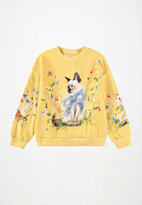 джемпер для девочки MOLO 1466876