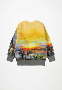 джемпер для мальчика MOLO 1466819