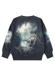 джемпер для мальчика MOLO 1478533