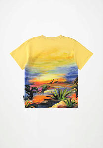 футболка для мальчика MOLO 1466814